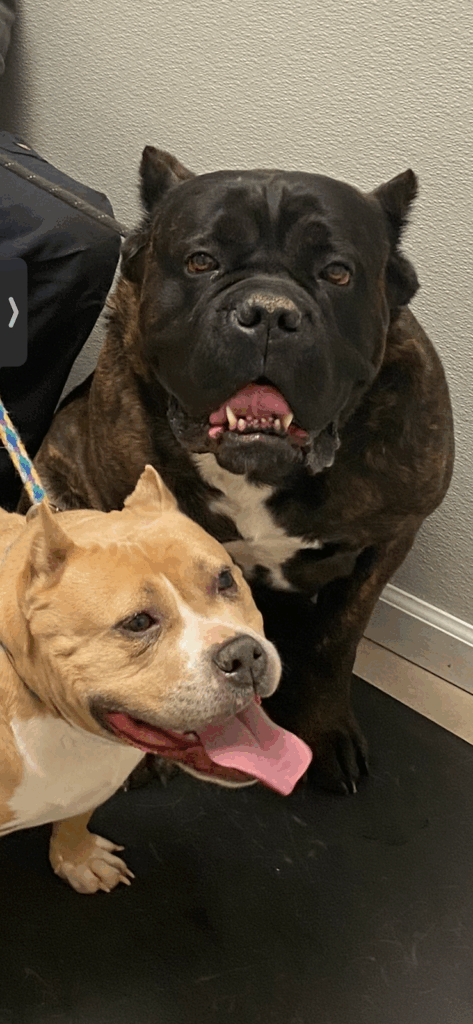 Free spirit friends 1