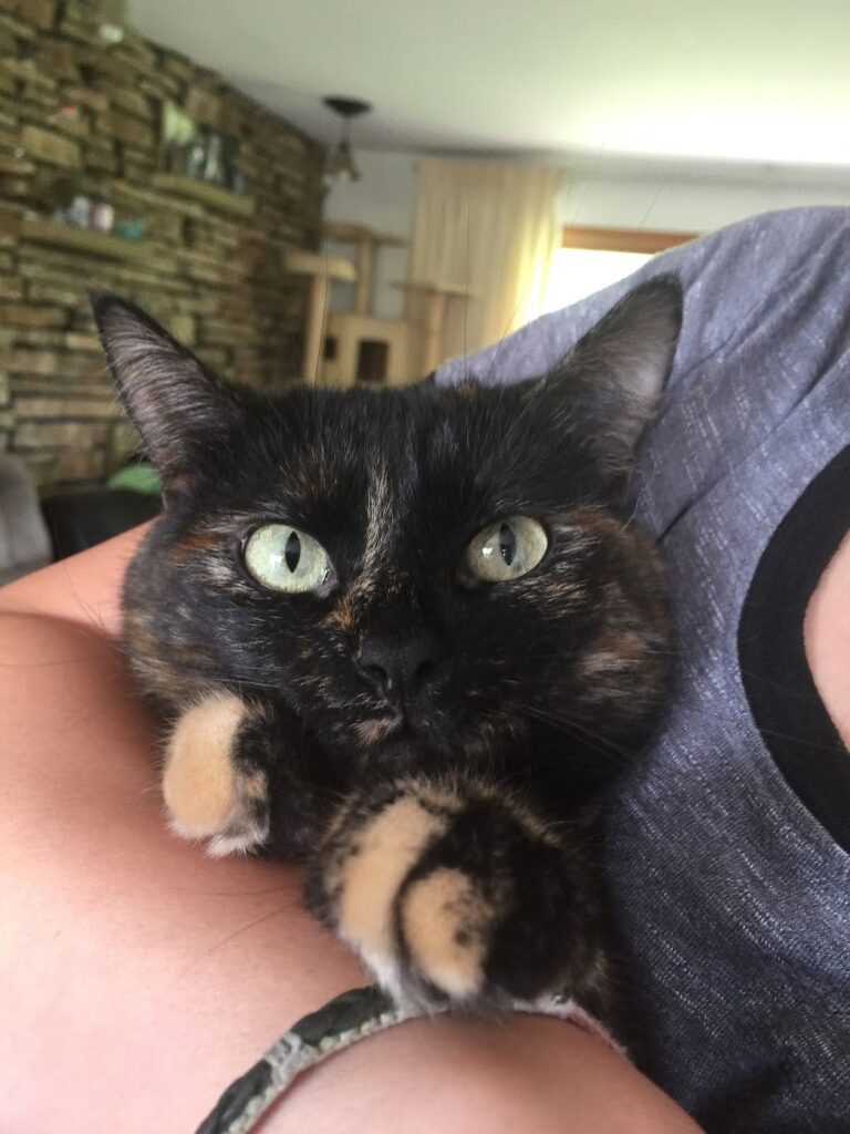 Free spirit friends 2