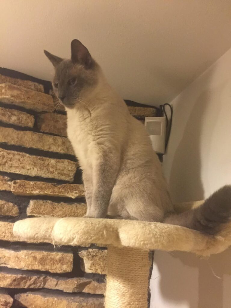 Free spirit friends 5