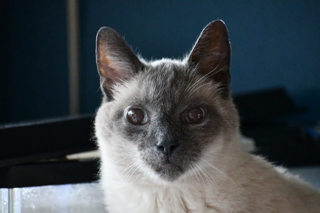 Free spirit friends 6