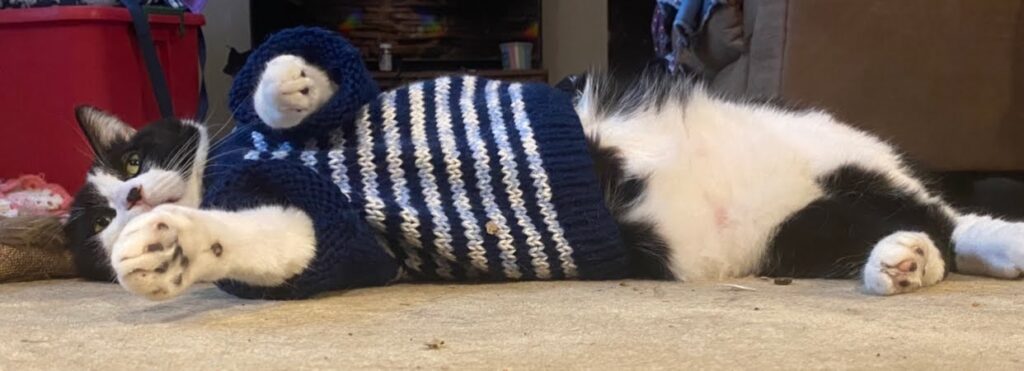 Free spirit friends 7