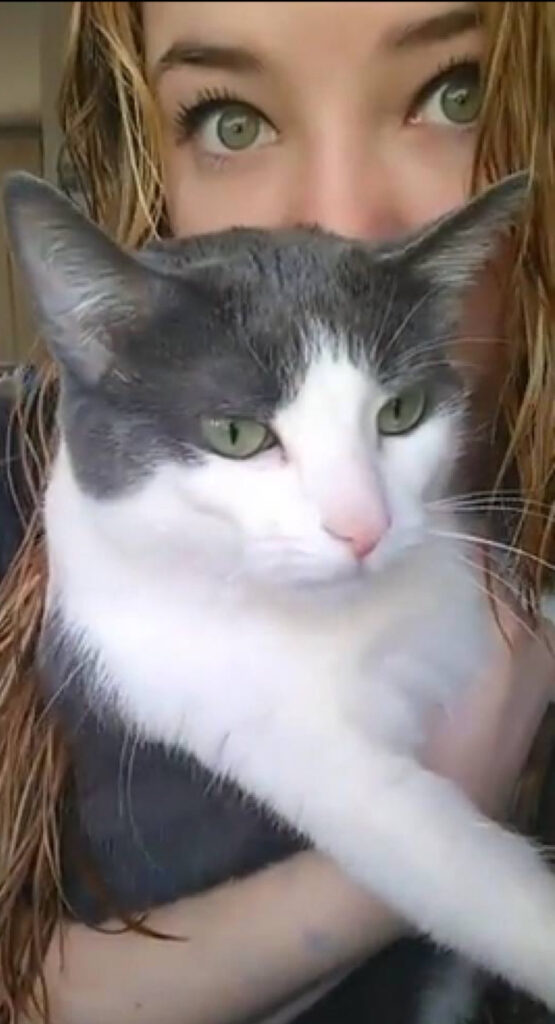 Signal 2025 07 26 160825